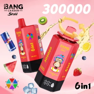 Bang Leader 300,000-puff disposable vape