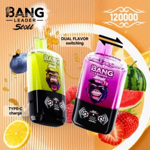 Bang Leader Stoll 120K puff vape